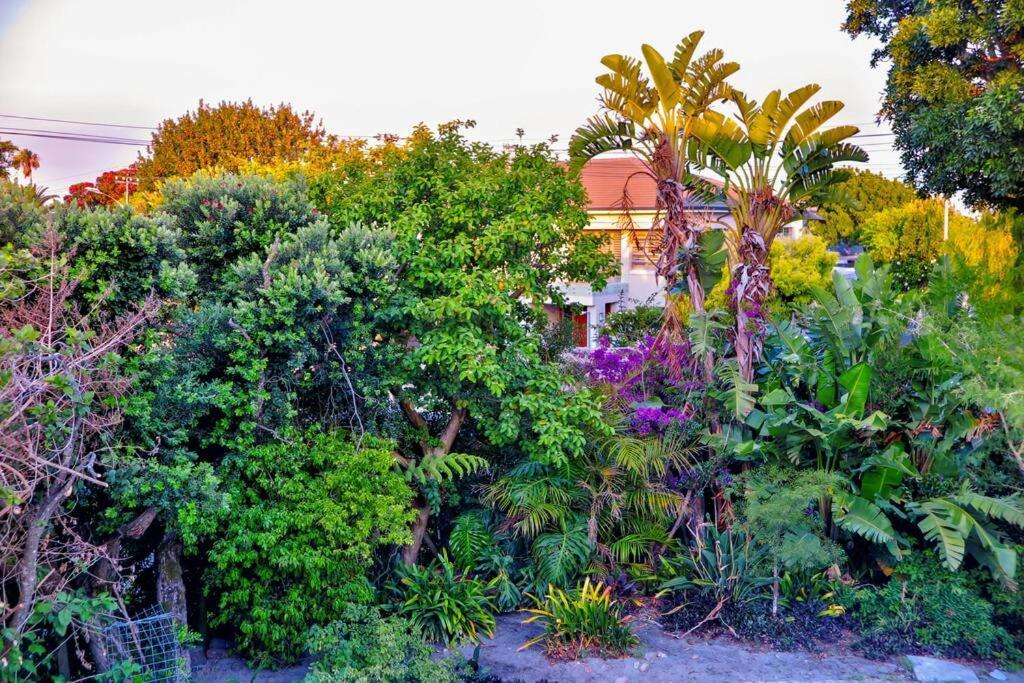 Rondebosch Vista Elevated Luxury
